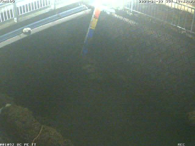 Camera Live Image